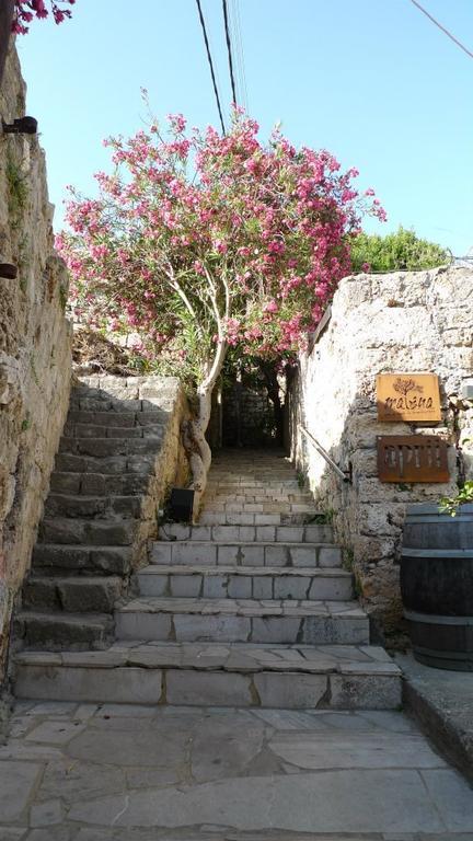 Byblos Fishing Club Guesthouse Exterior foto